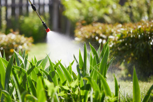24/7 Emergency Cockroach Control experts in New Lenox, IL