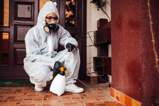 Reliable Cockroach Control contractor in New Lenox, IL by Nex Pest Control