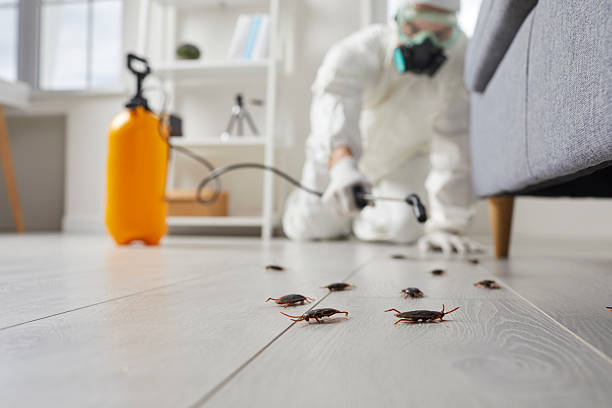 Trusted Emergency Pest Control service in New Lenox, IL - Nex Pest Control