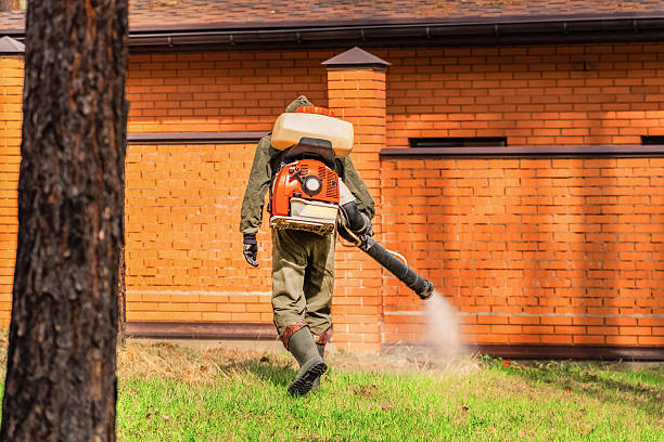 Trusted Rodent Control service in New Lenox, IL - Nex Pest Control
